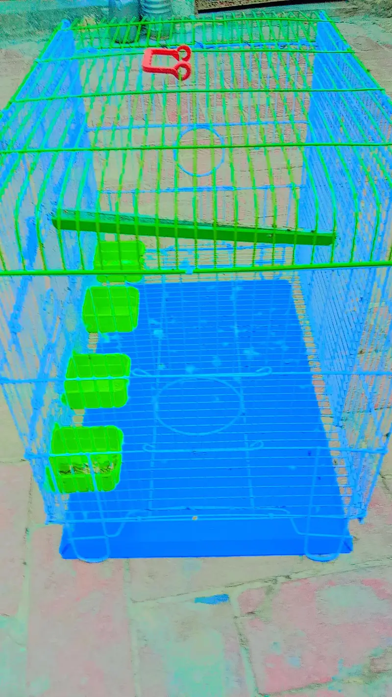 cage raw parat — photo 7