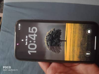 Apple iPhone 11