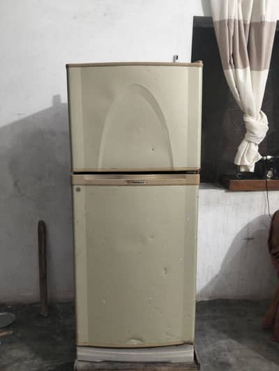 midum size