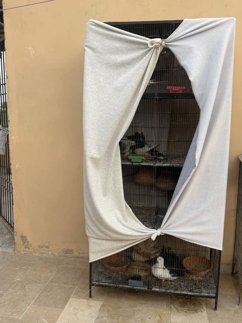Cages 0