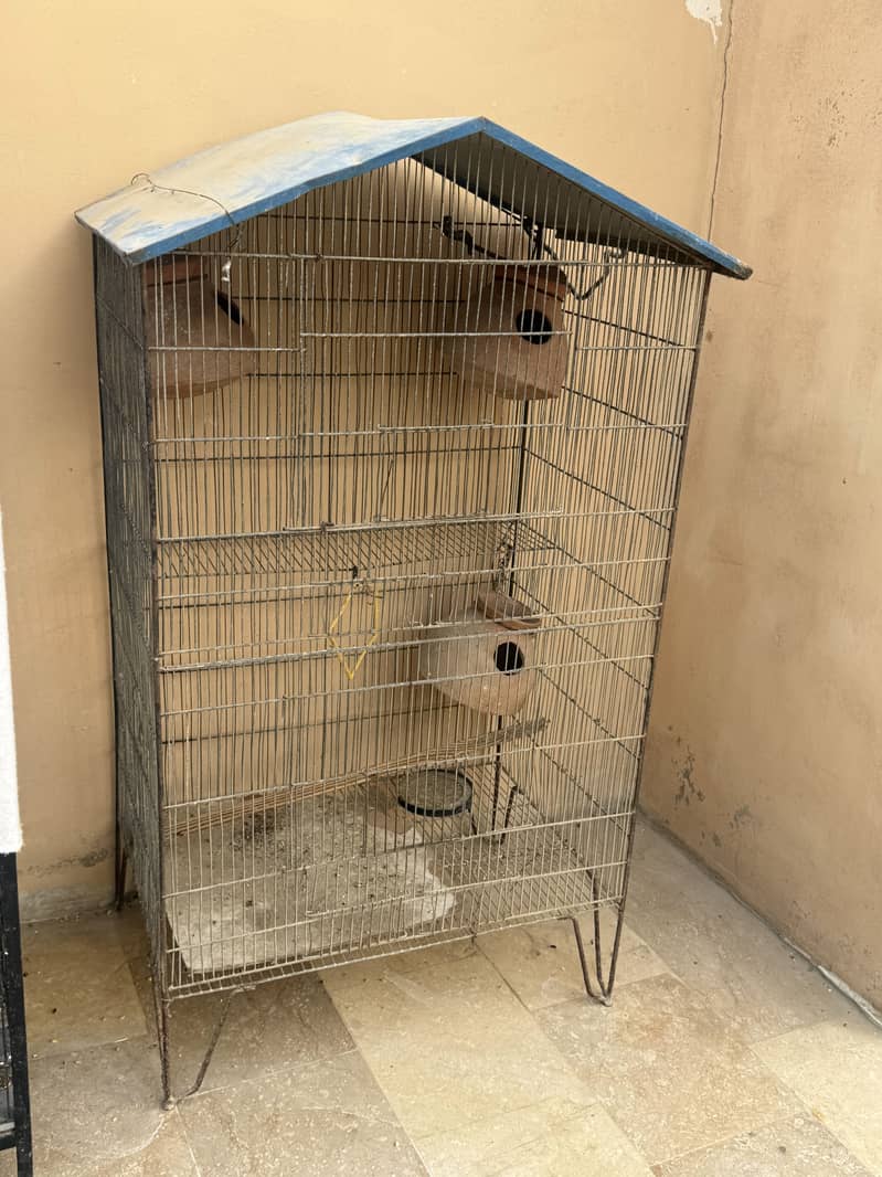 Cages 1