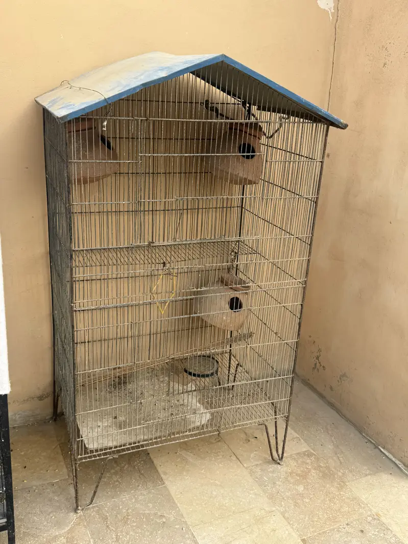 Cages — photo 2