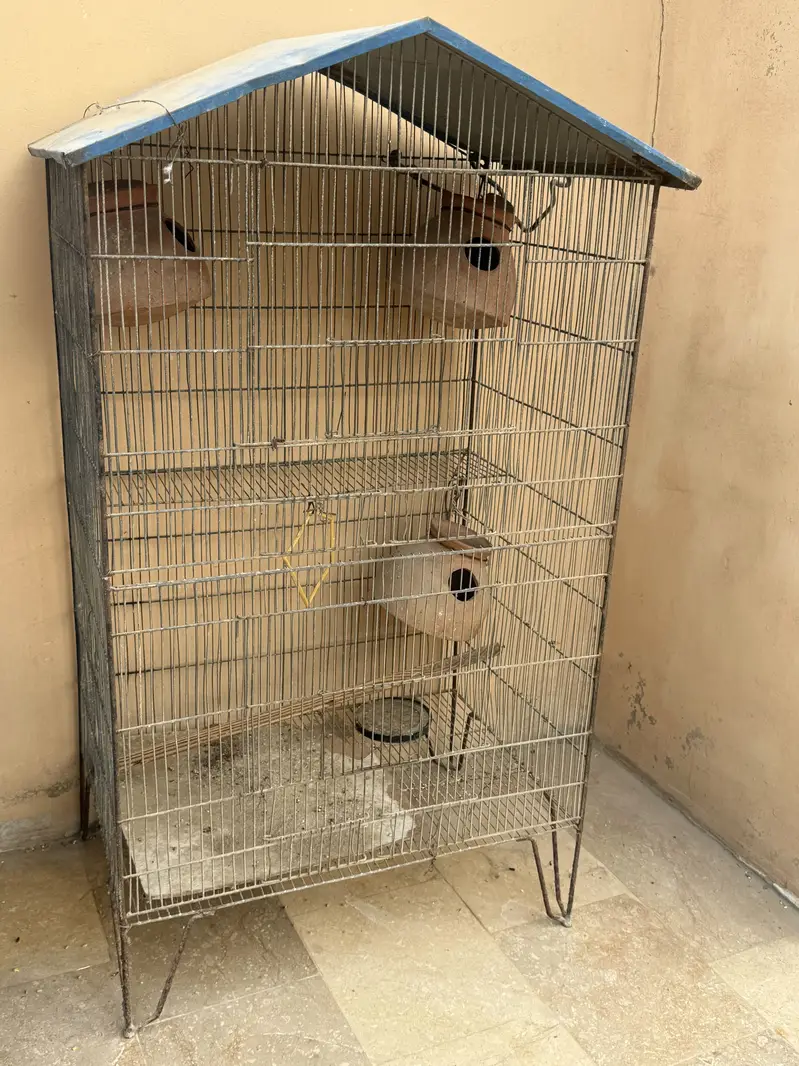 Cages — photo 3