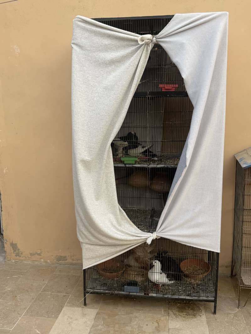 Cages 3