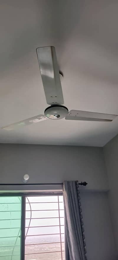 Royal fan for sale