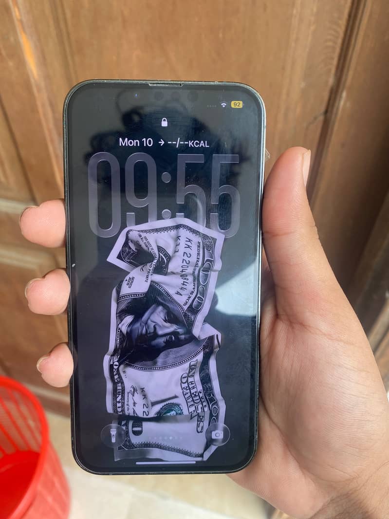 iPhone 13 Pro FU 1