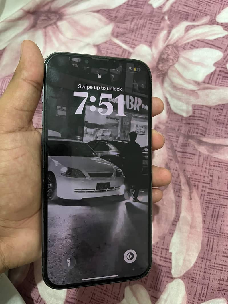 Apple iPhone 13 Pro Max 1
