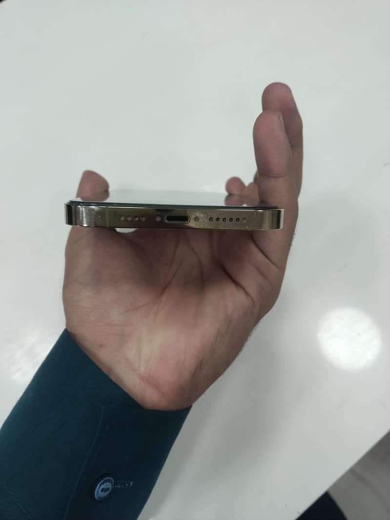 Apple iPhone 14 Pro Max 1