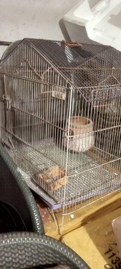 Birds Cages