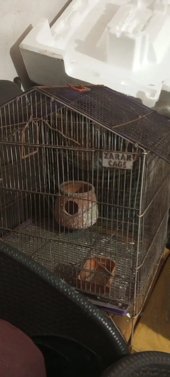 Birds Cages — photo 5