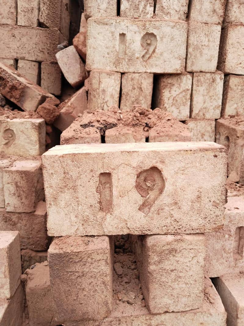 Special Awal Brick's 1
