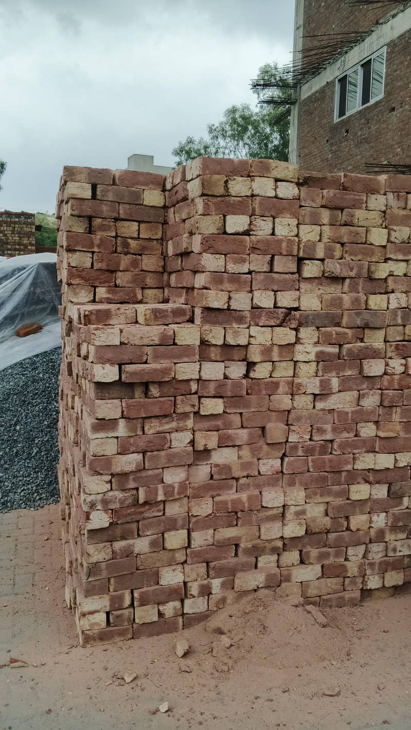 Special Awal Brick's 8