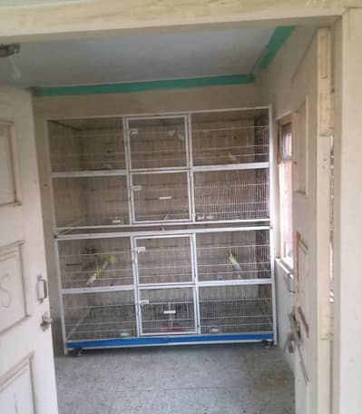 big colony cage for sale