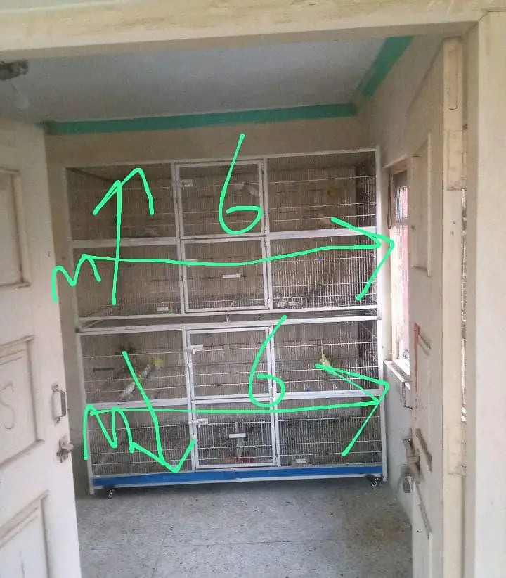 big colony cage for sale — photo 2