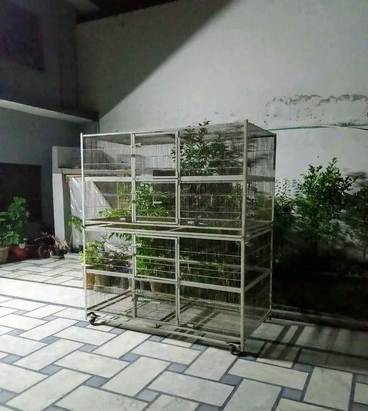 big colony cage for sale — photo 3