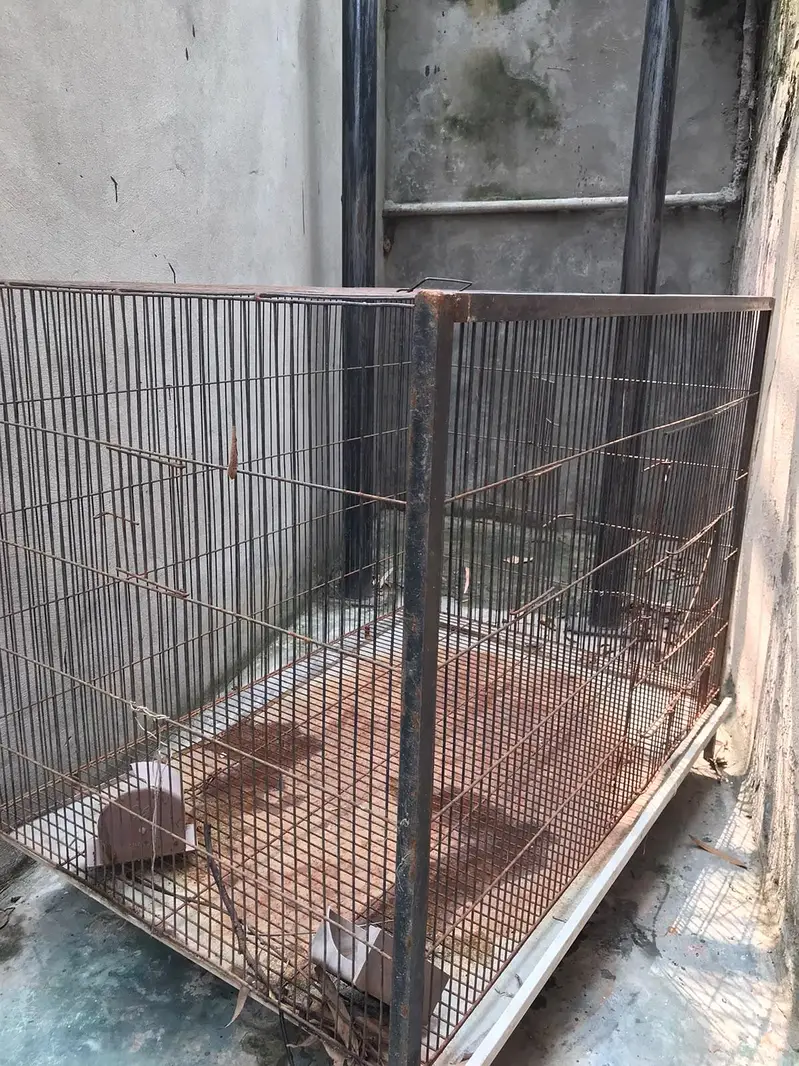Used Hen Cage — photo 2