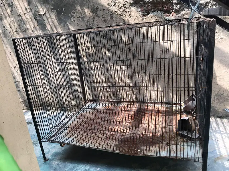 Used Hen Cage — photo 3