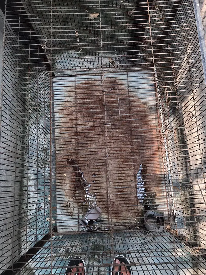 Used Hen Cage — photo 4