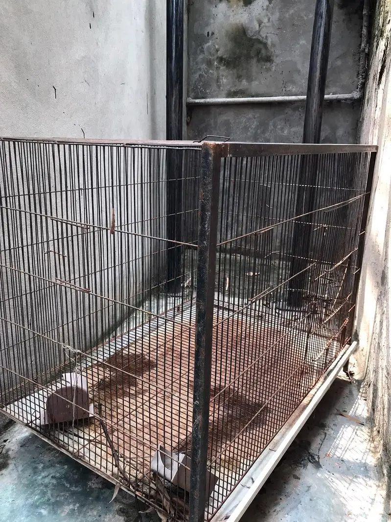 Used Hen Cage — photo 5