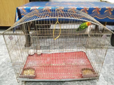Cage for sale