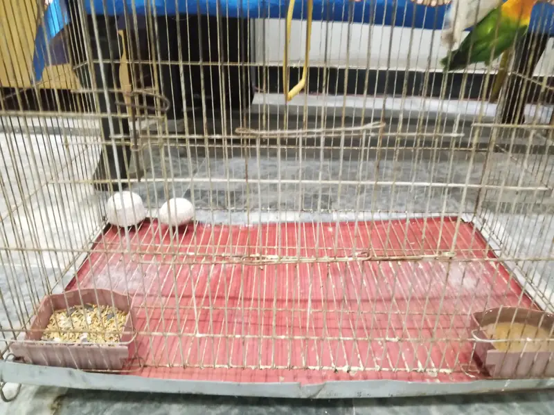 Cage for sale — photo 2