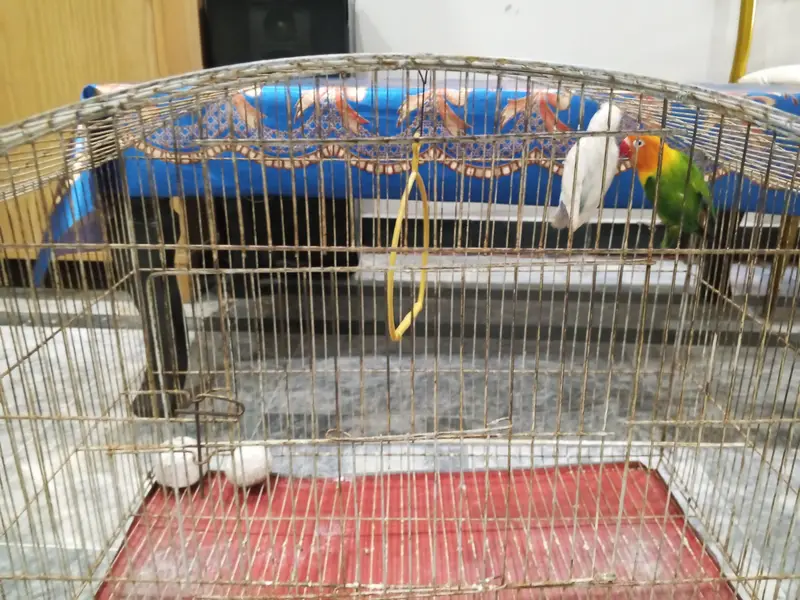 Cage for sale — photo 3