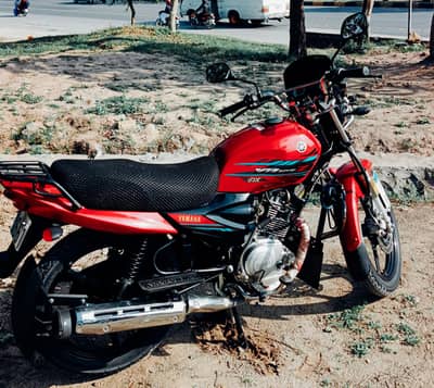 Islamabad's Premier Yamaha YBZ-DX-125 – A Rare Showstopper!