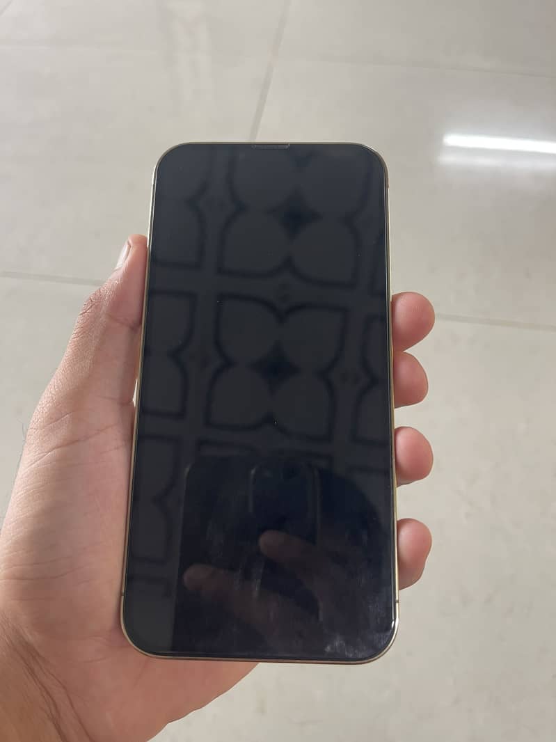 Apple iPhone 13 Pro Max 1