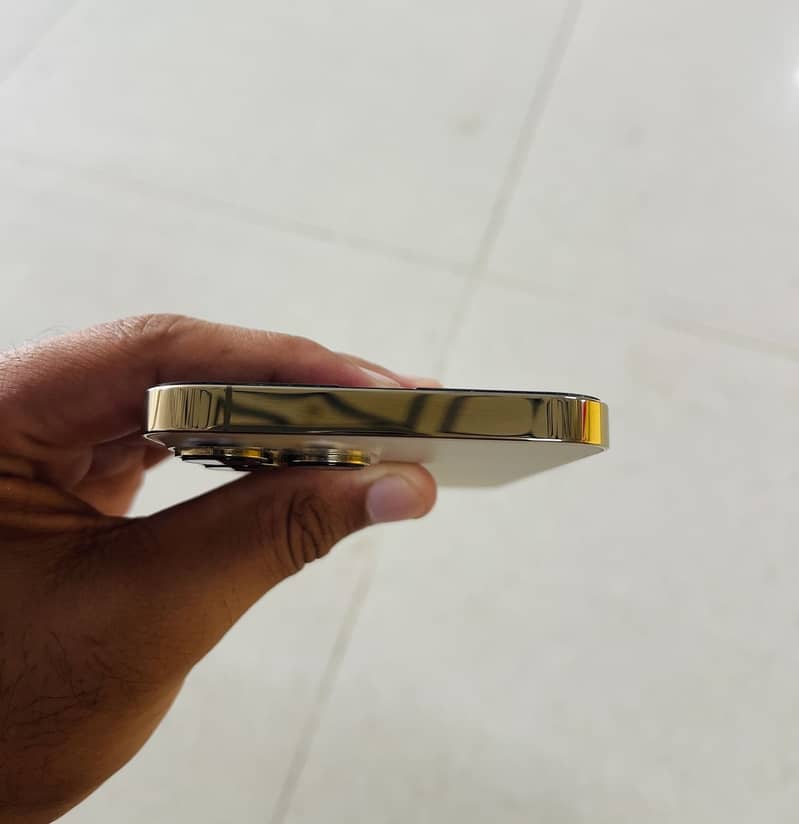Apple iPhone 13 Pro Max 2