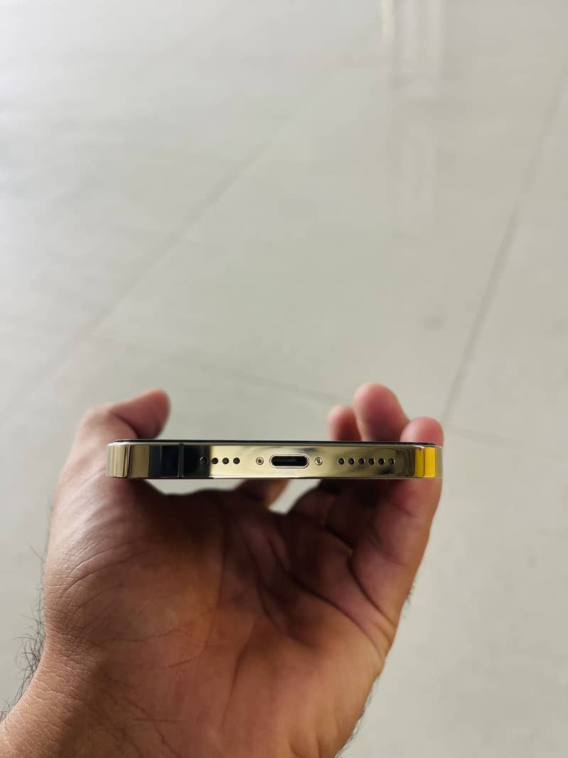 Apple iPhone 13 Pro Max 3