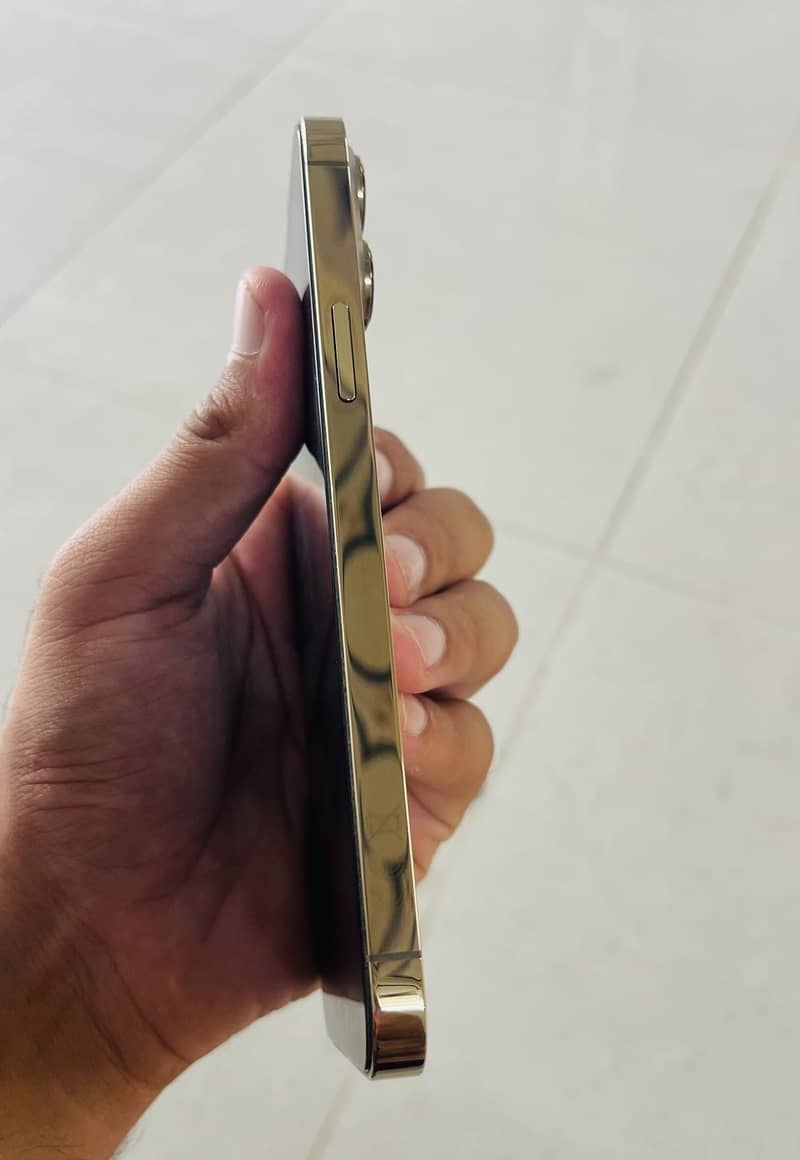 Apple iPhone 13 Pro Max 4