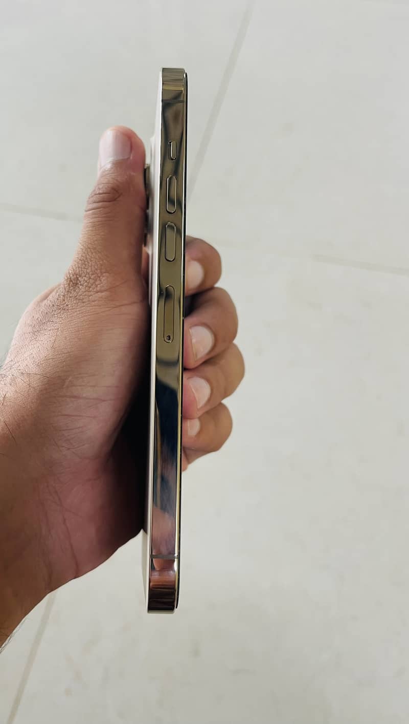 Apple iPhone 13 Pro Max 5
