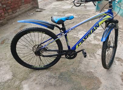 Caspian Sports bicylce 801