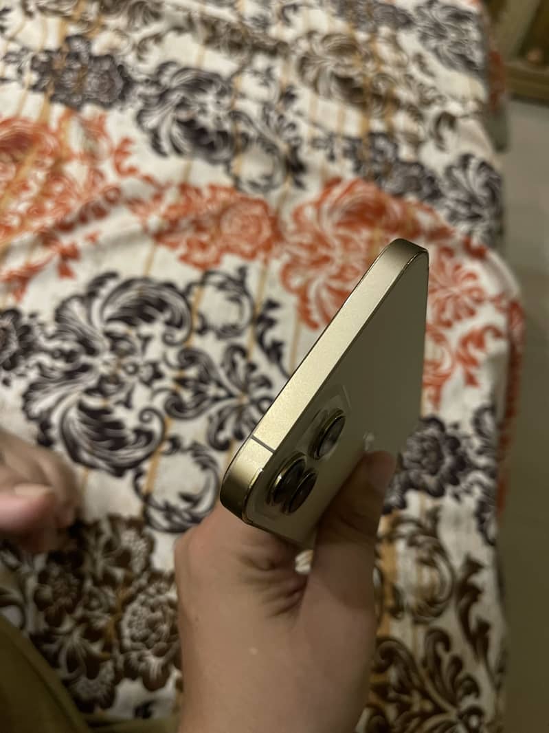 Apple iPhone 12 Pro Max 3