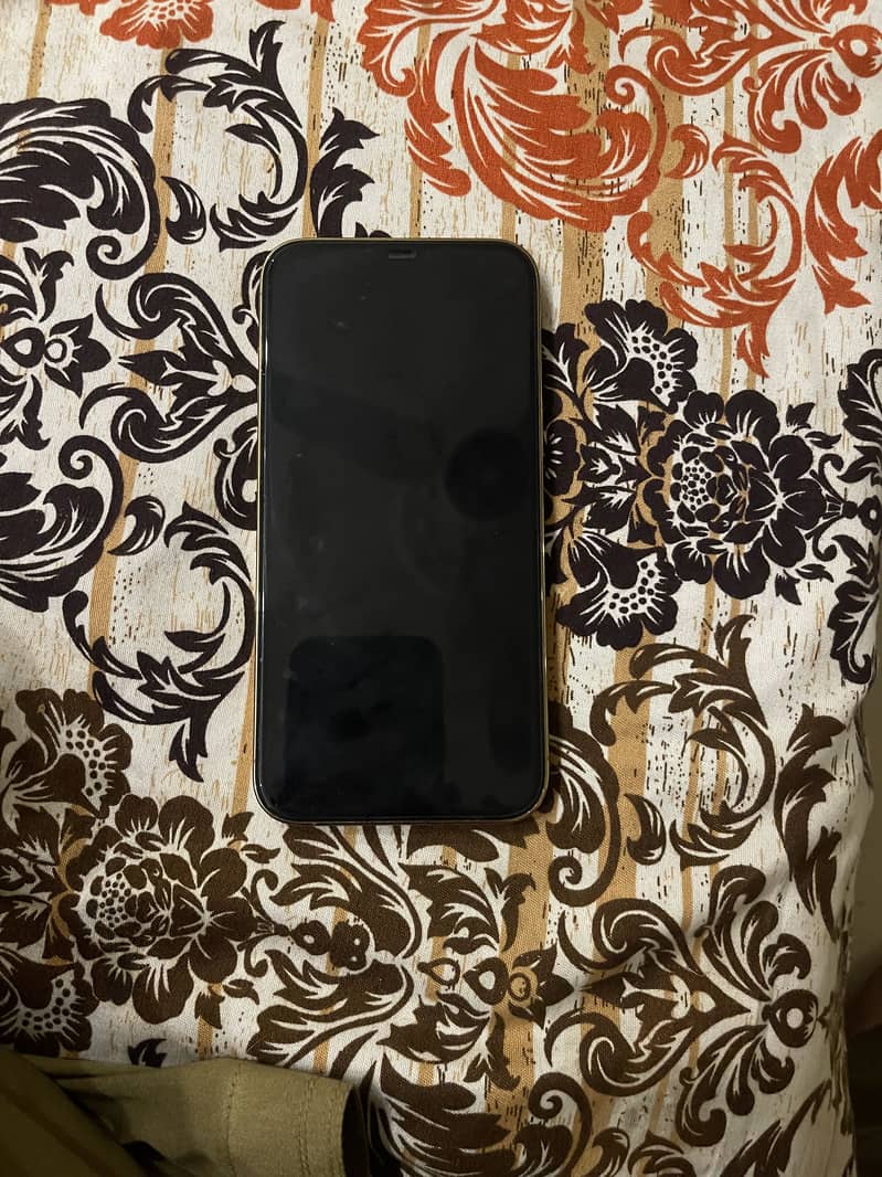 Apple iPhone 12 Pro Max 6