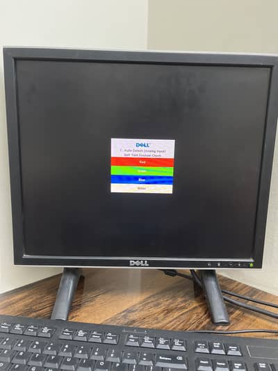 Dell LCD monitor 19inch