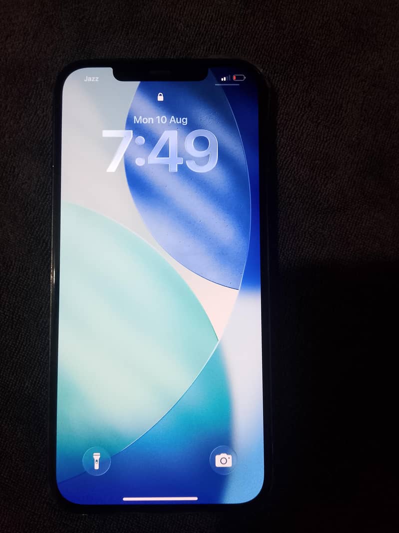 Apple iPhone 12 Pro Max 2