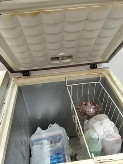 Waves 2-Door Refrigerator for Sale 