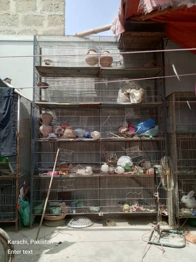 10 portion free portion and two portion 3 cage