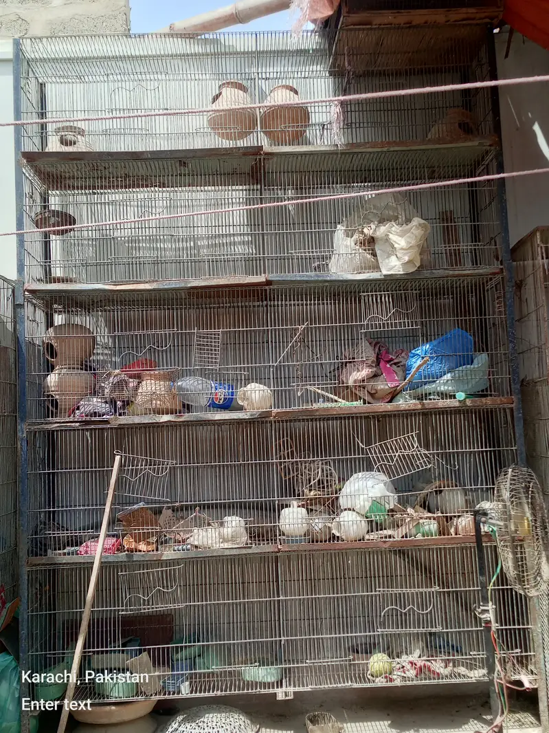 10 portion free portion and two portion 3 cage — photo 2