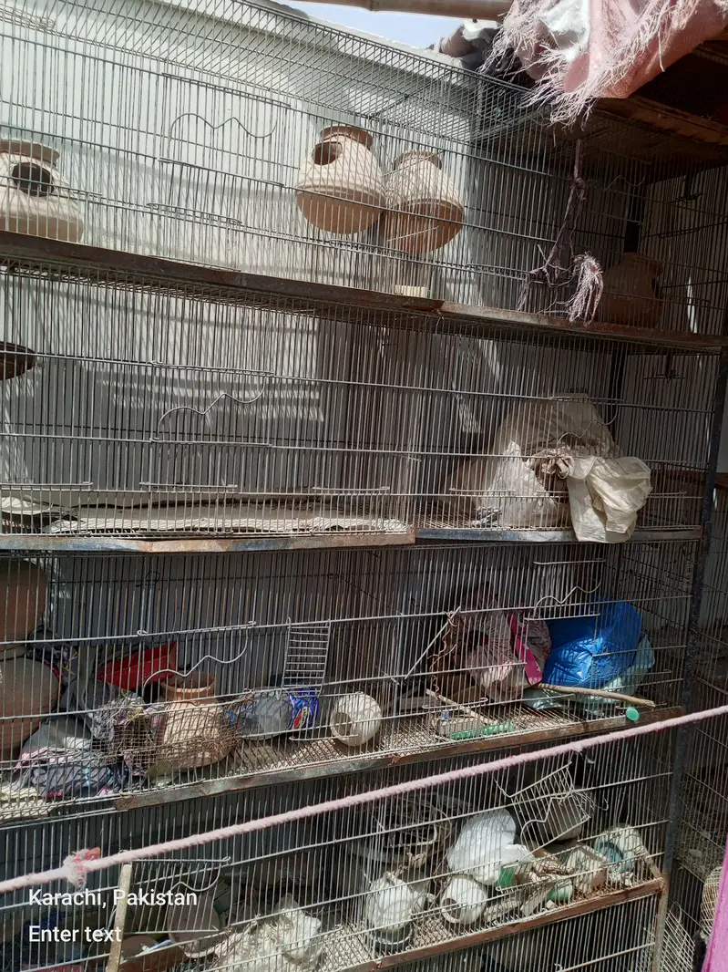 10 portion free portion and two portion 3 cage — photo 3