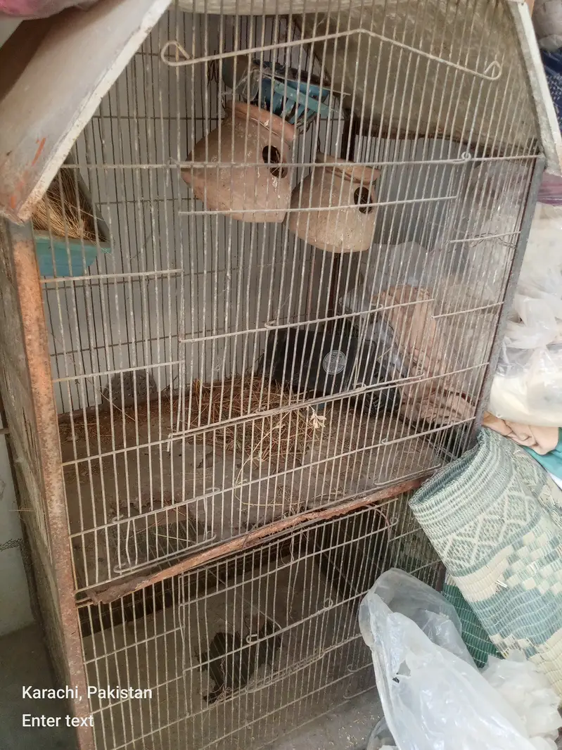 10 portion free portion and two portion 3 cage — photo 4