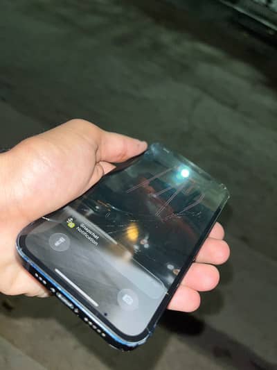 Apple iPhone 12 factory unlock