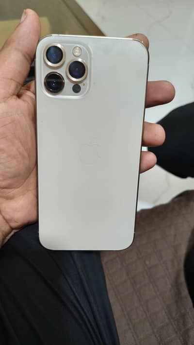 Apple iPhone 12 Pro Max