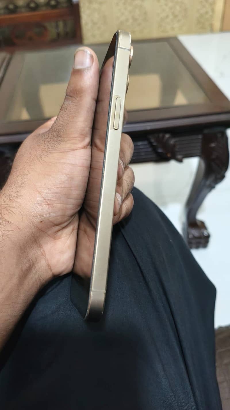Apple iPhone 12 Pro Max 1