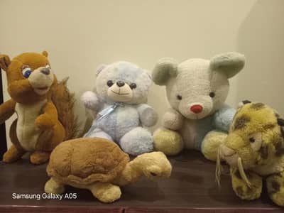 Teddy Bears