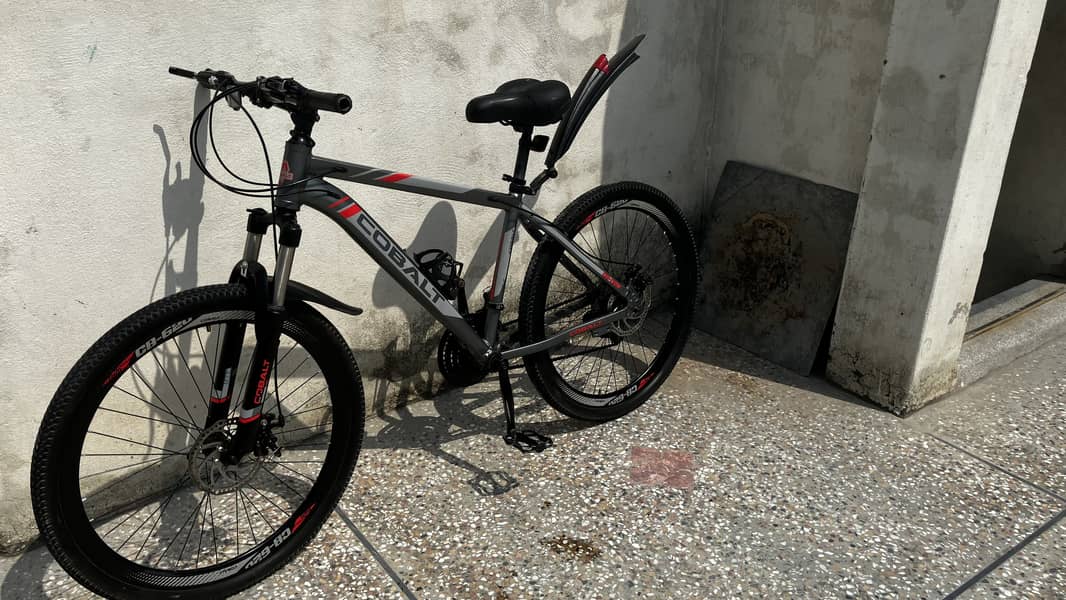 Bicycle 1