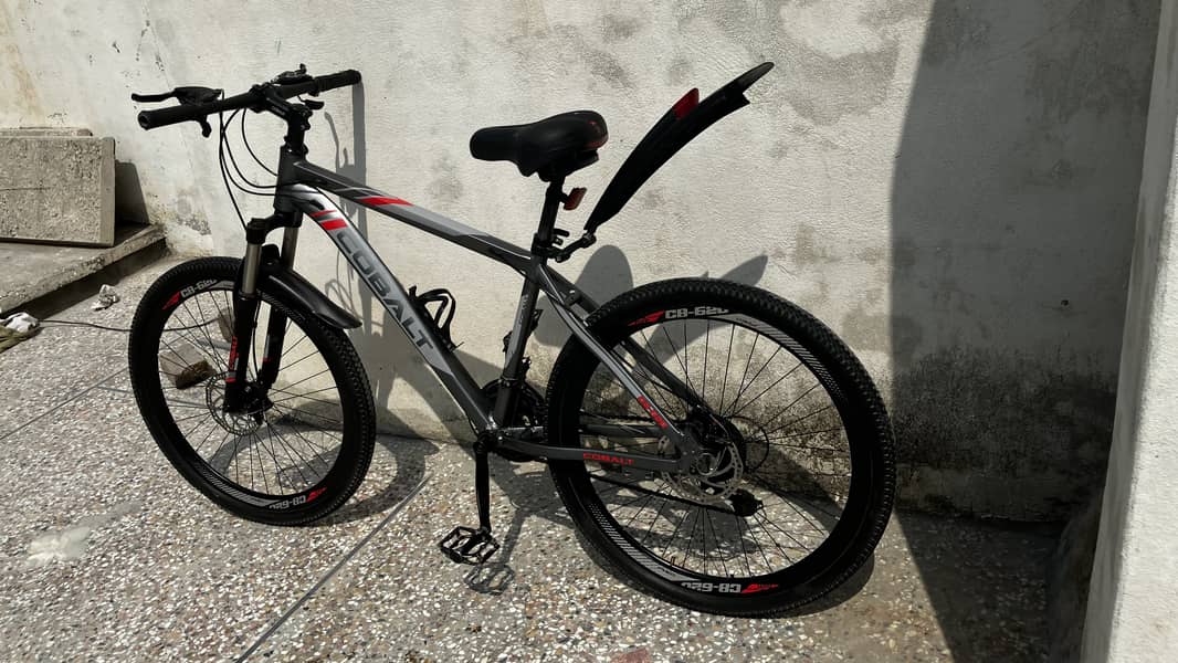 Bicycle 2