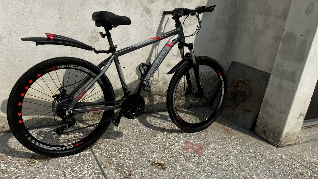 Bicycle 4