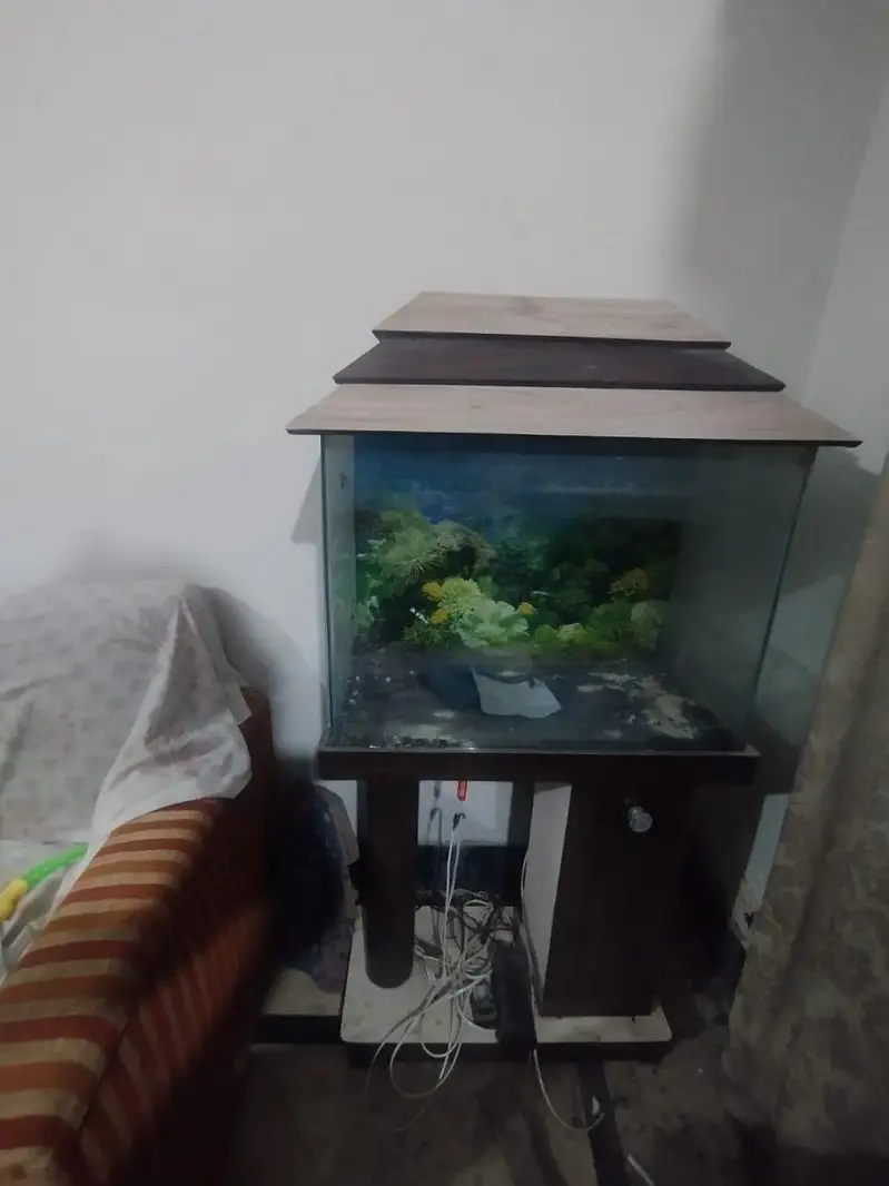 aquarium — photo 2